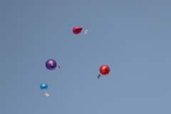 48-IMG_0277